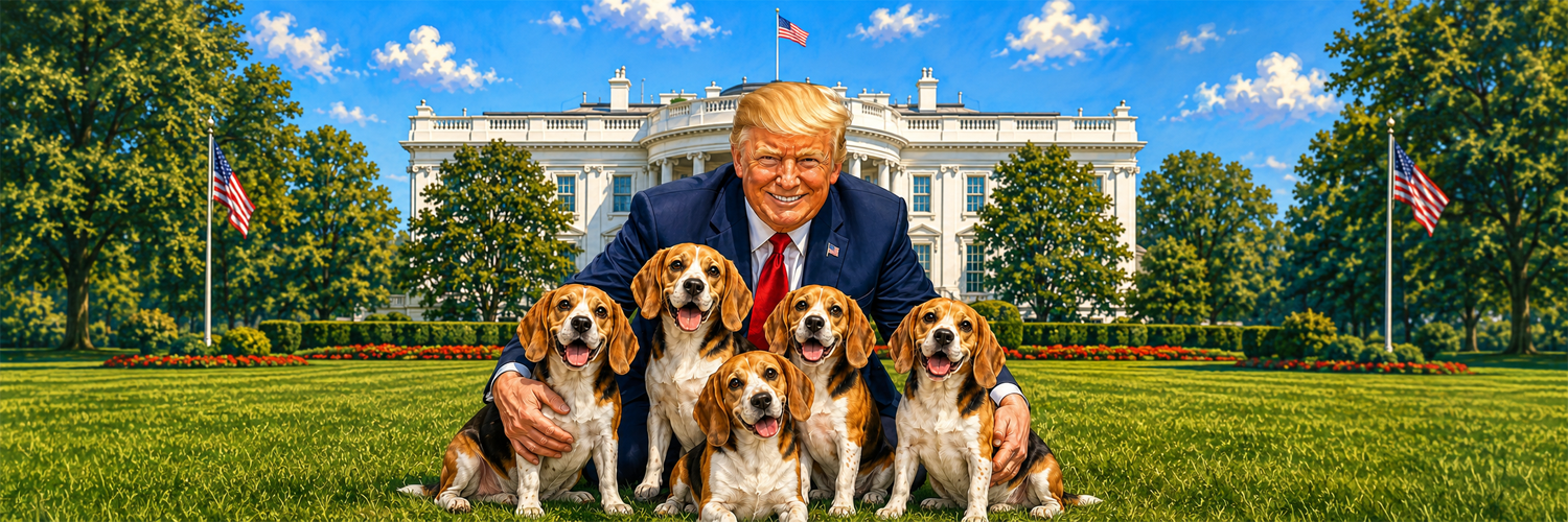 Beagles freed at the White House